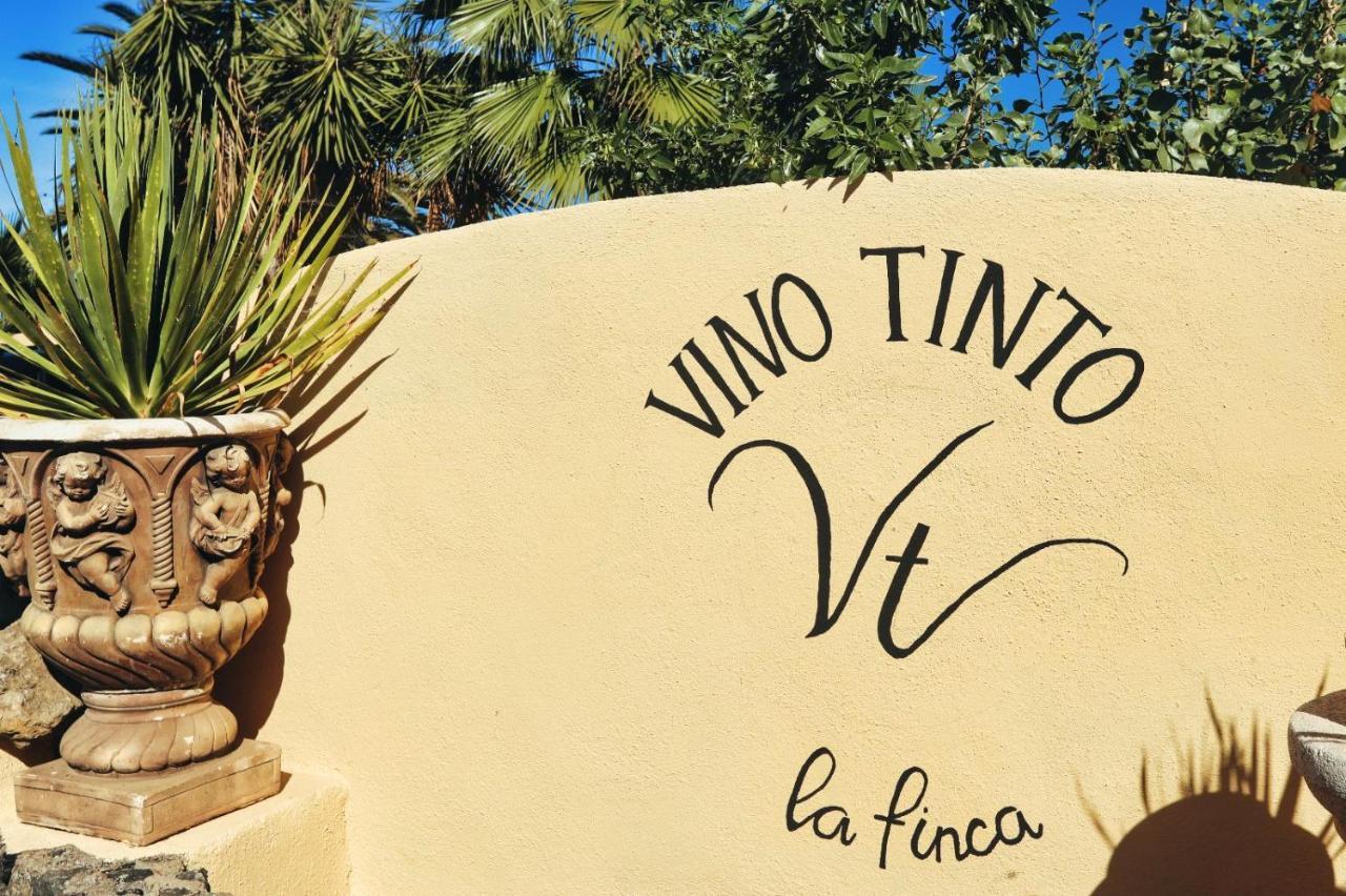 Finca Vino Tinto 1 伊科德·德·洛斯·维诺斯 外观 照片