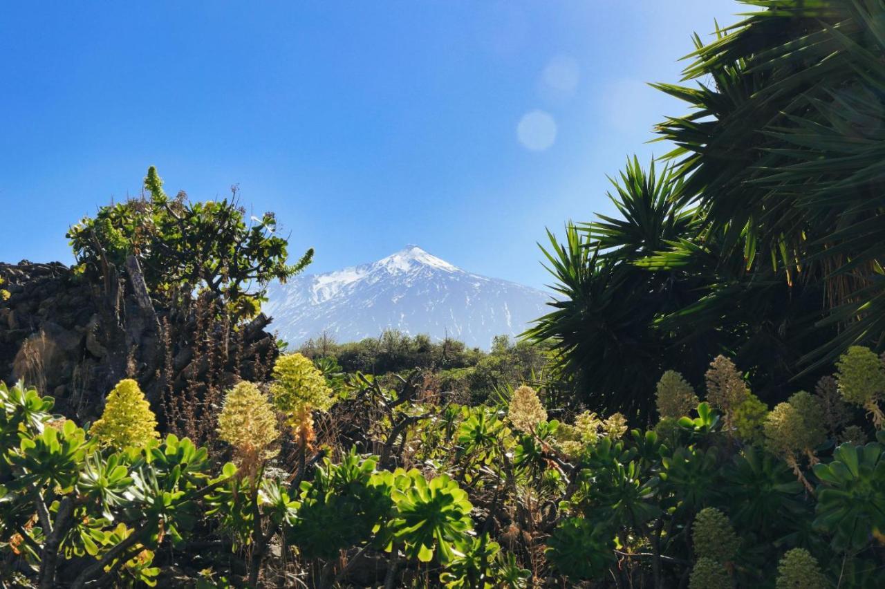 Finca Vino Tinto 1 伊科德·德·洛斯·维诺斯 外观 照片